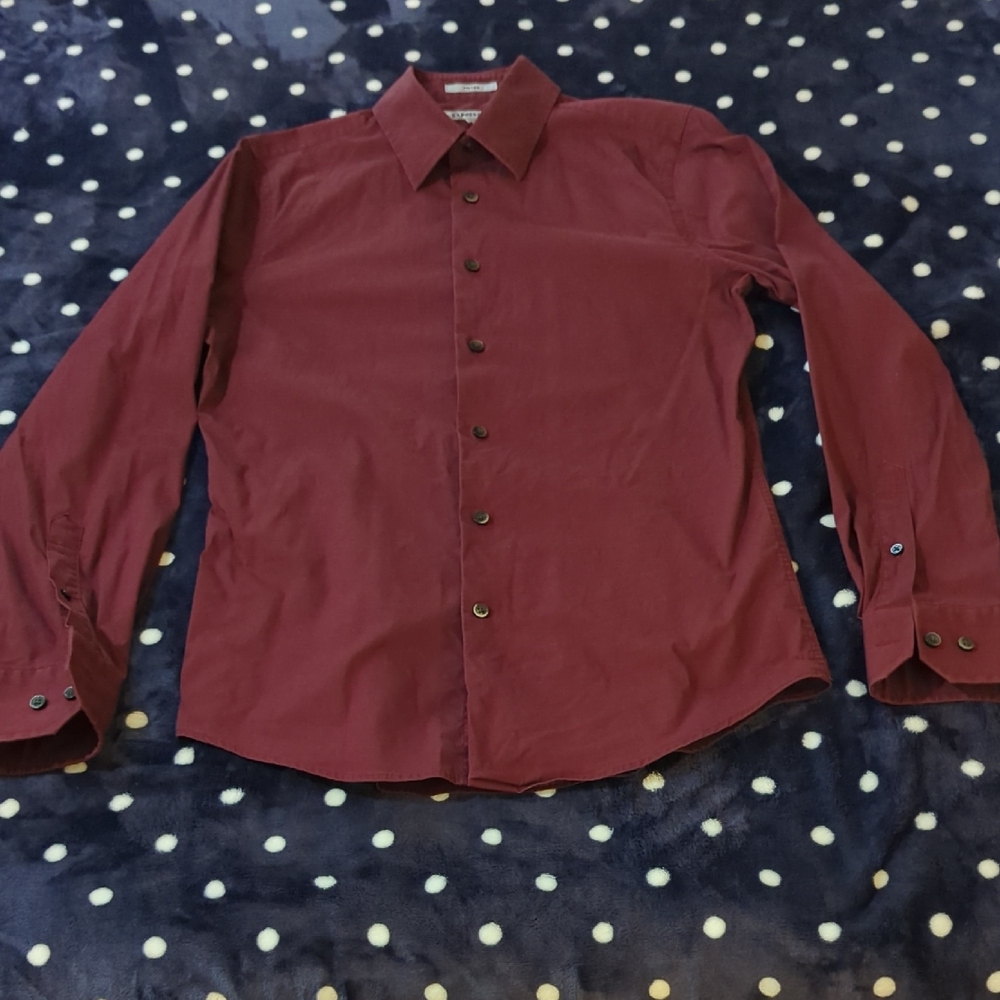Express Men's 1MX Button Down Dress Shirt